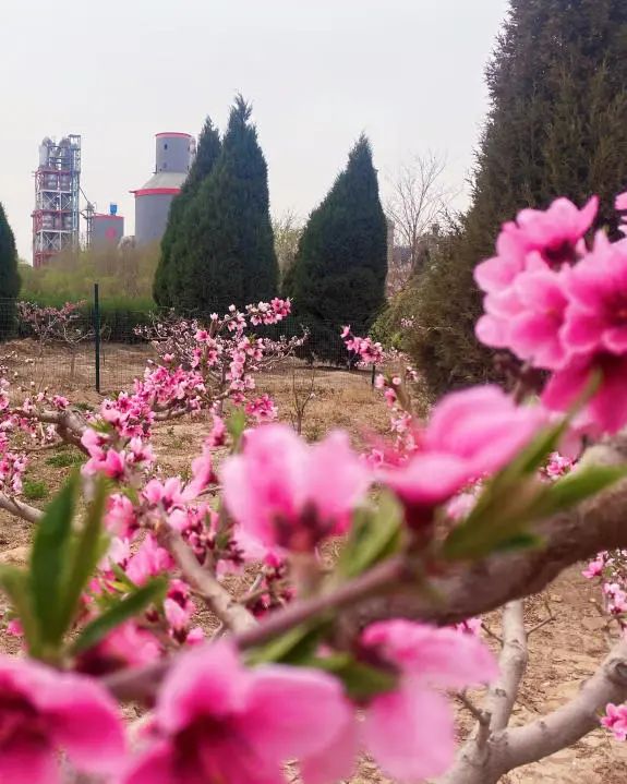 		漂亮中国⑨丨CA88集团“漂亮中国行动月”（宁夏青铜峡站）活动顺遂举行_员工关爱_CA88集团有限公司	