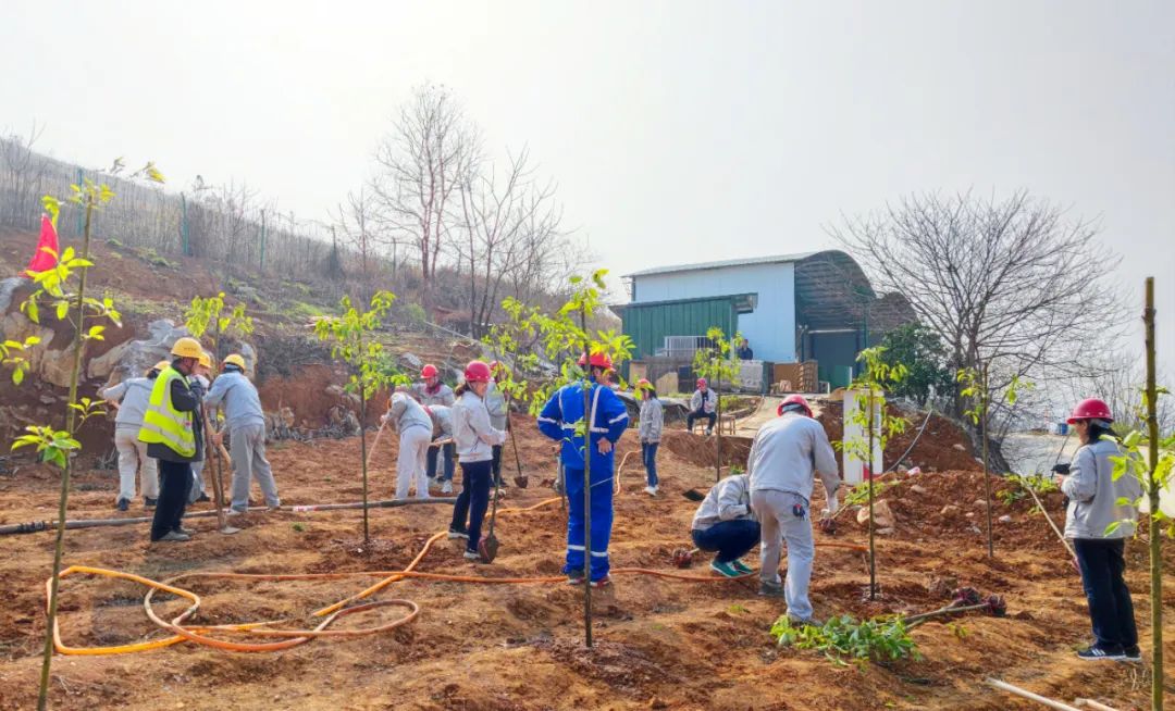 		植树节丨CA88集团“植”子之手，，，，共“植”未来_国际交流_CA88集团有限公司	