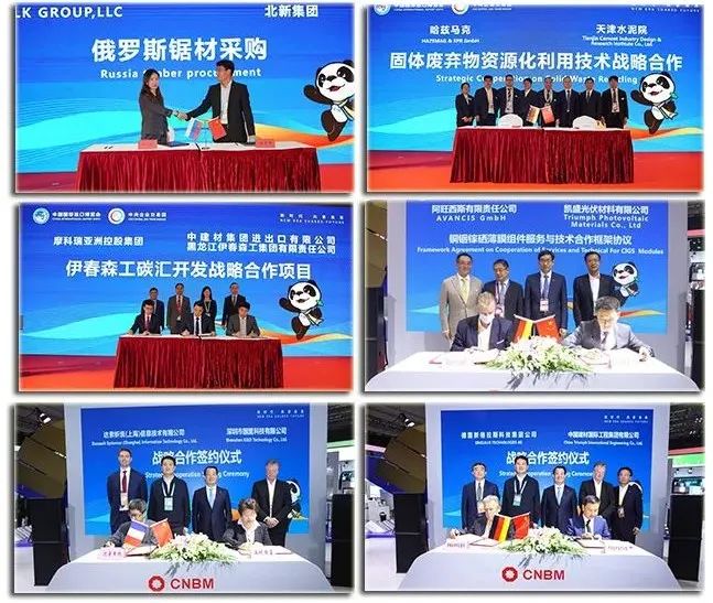 		CA88集团亮相第四届进博会_责任撒播_CA88集团有限公司	