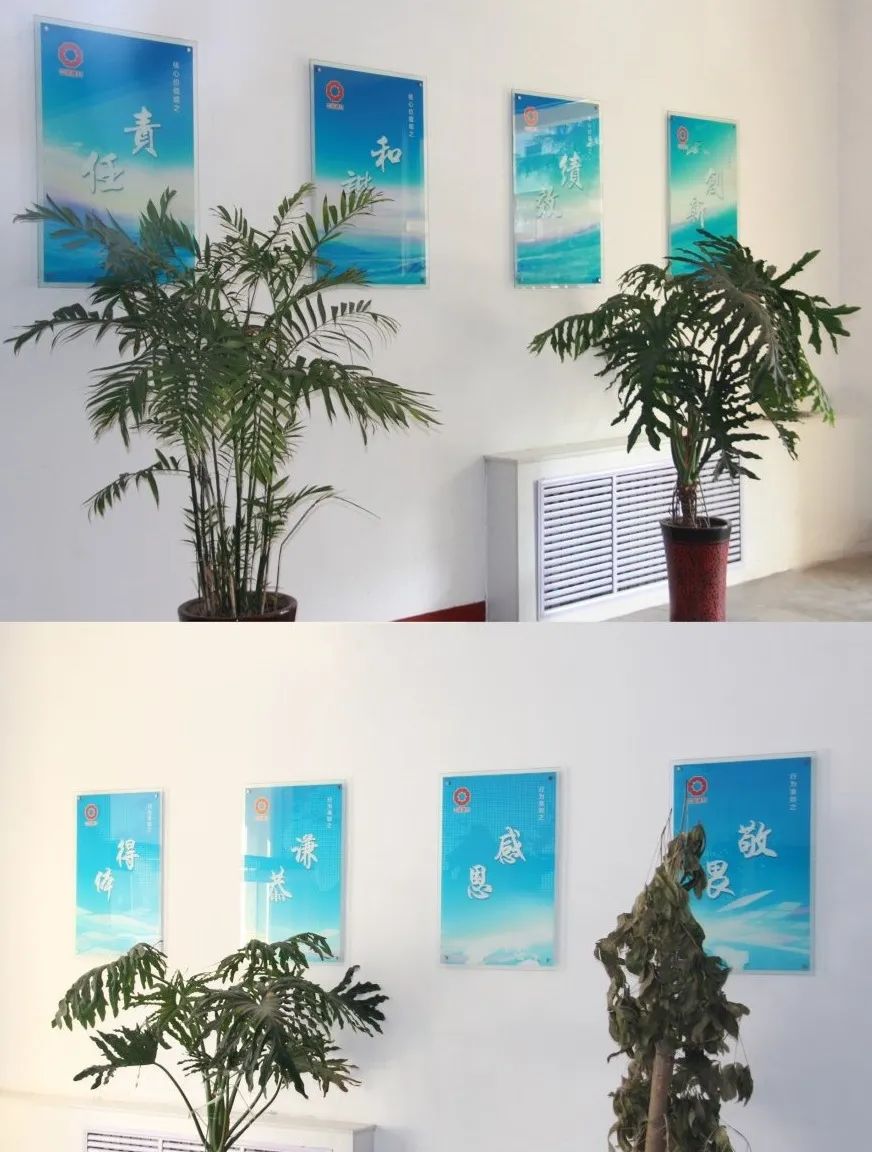 		企业文化宣贯 | 小料带你走进地勘中心，，，，感受他们的企业文化气氛_责任与文化_CA88集团有限公司	