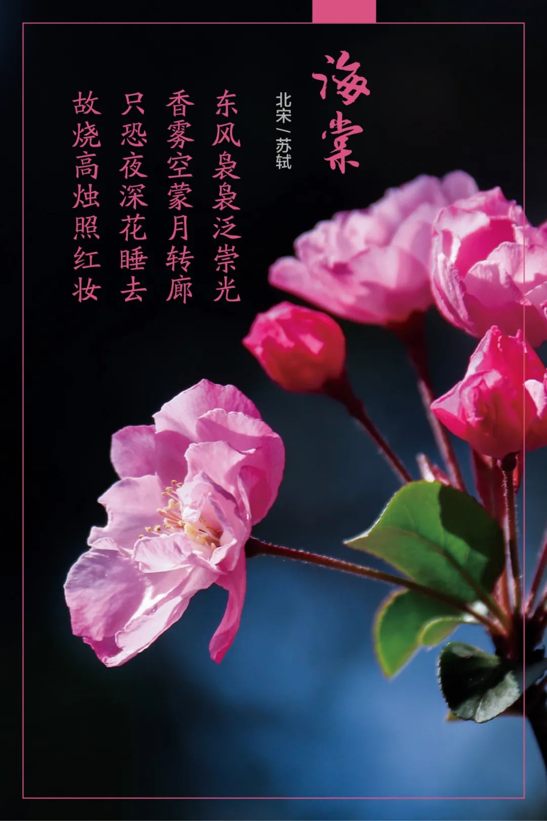 		清明，，，，，来CA88工厂踏青赏花吧~_责任与文化_CA88集团有限公司	