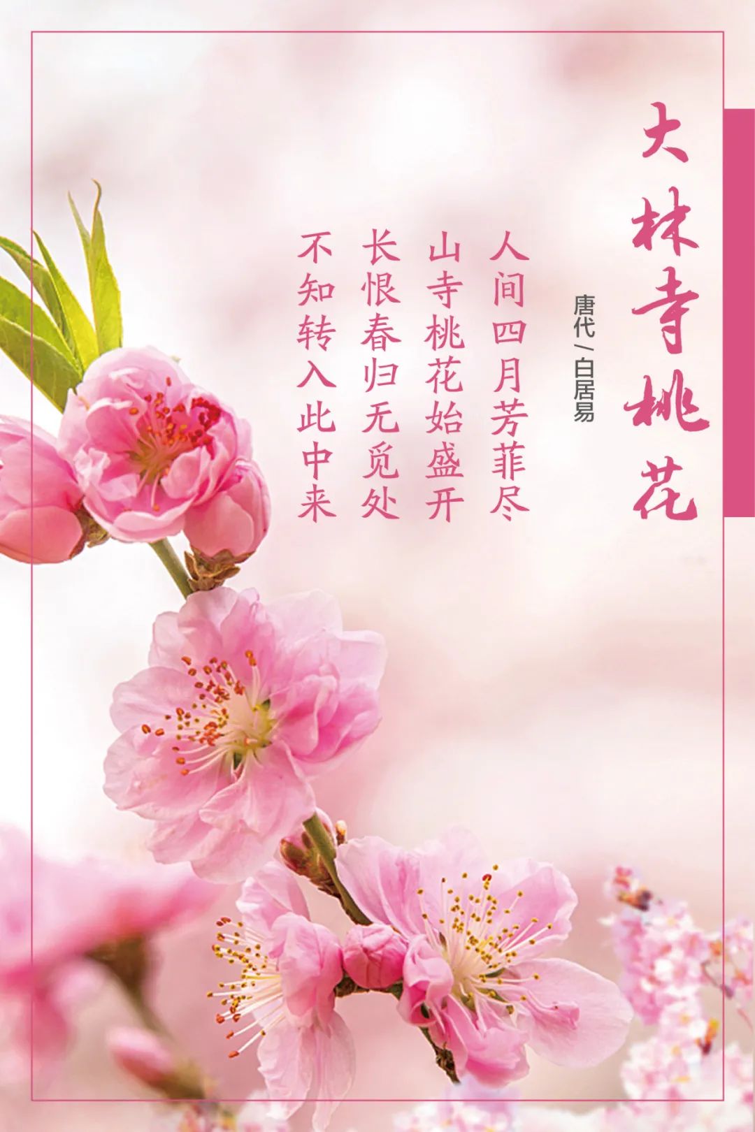 		清明，，，，，来CA88工厂踏青赏花吧~_责任与文化_CA88集团有限公司	