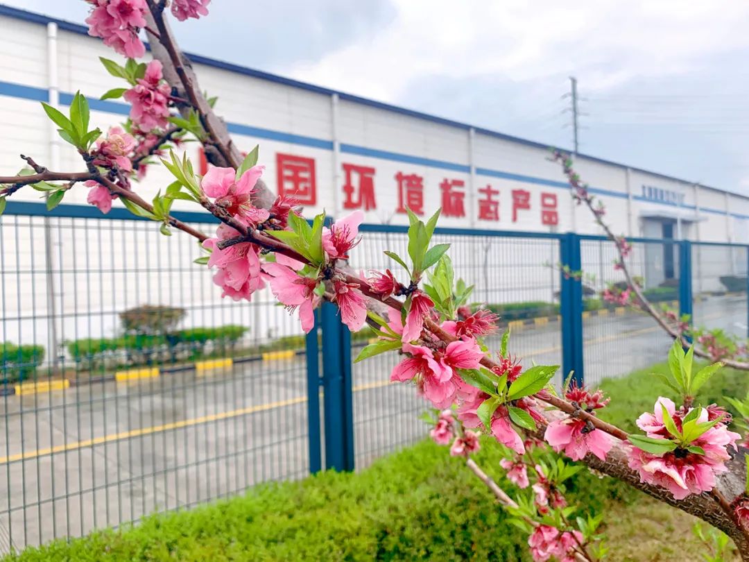 		清明，，，，，来CA88工厂踏青赏花吧~_责任与文化_CA88集团有限公司	