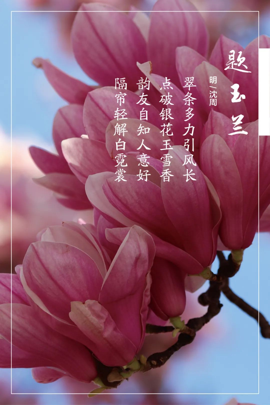 		清明，，，，，来CA88工厂踏青赏花吧~_责任与文化_CA88集团有限公司	