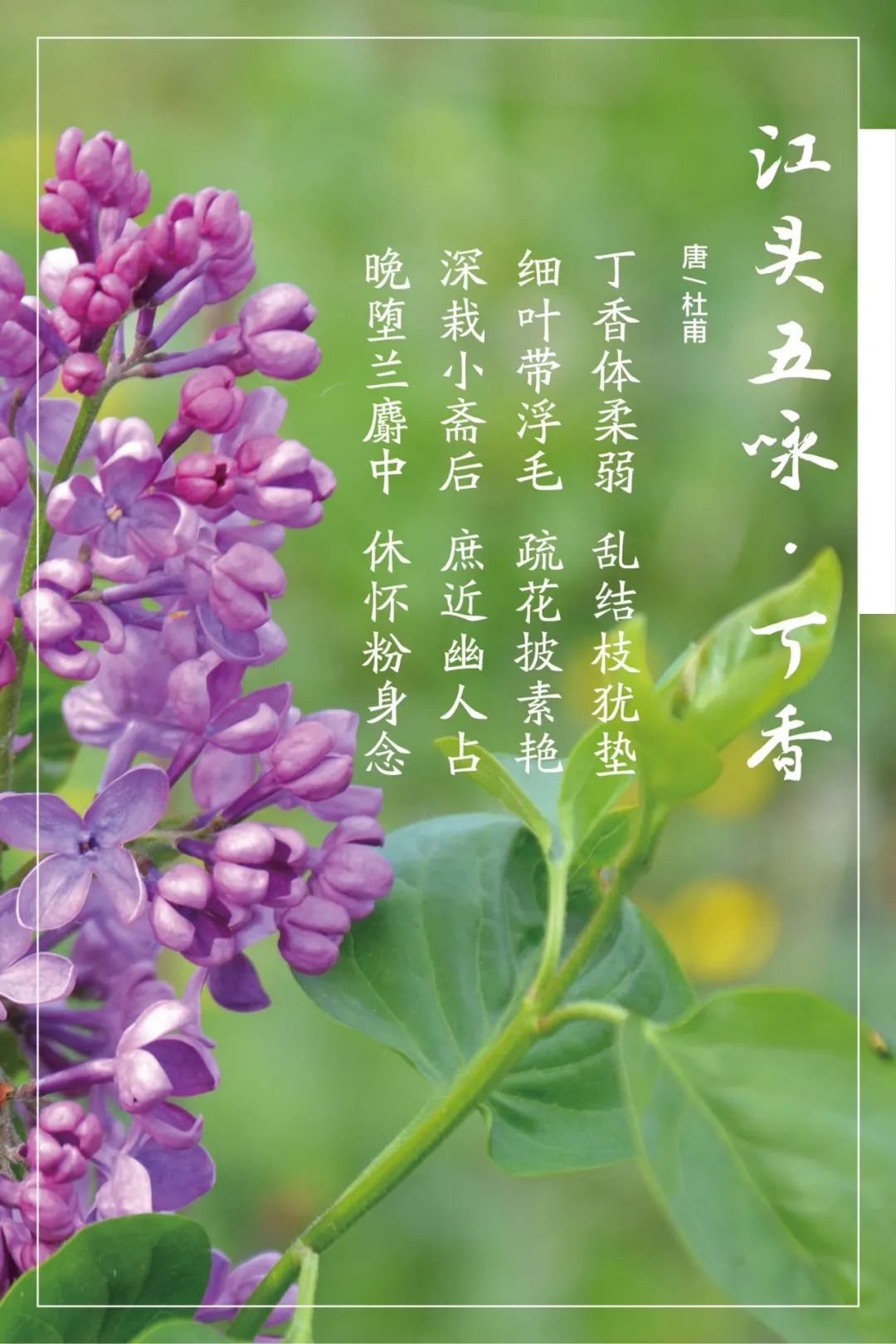 		清明，，，，，来CA88工厂踏青赏花吧~_责任与文化_CA88集团有限公司	