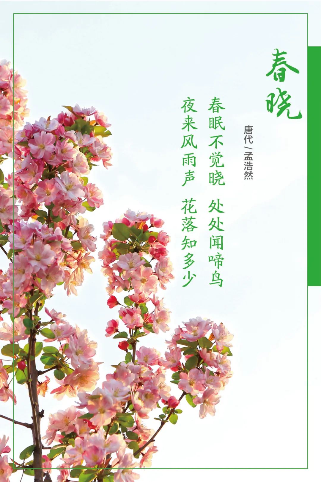 		清明，，，，，来CA88工厂踏青赏花吧~_责任与文化_CA88集团有限公司	