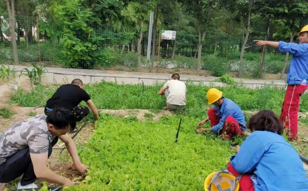 		办实事 暖人心 | 宁夏建材：专心用情解决好员工用餐问题_办实事暖人心_CA88集团有限公司	