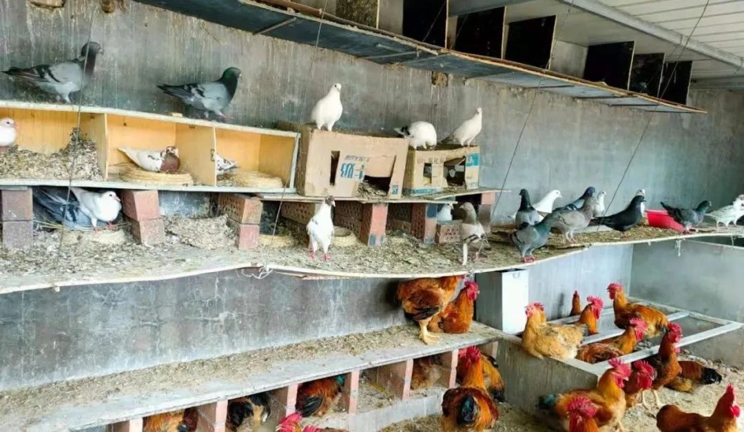 		办实事 暖人心 | 宁夏建材：专心用情解决好员工用餐问题_办实事暖人心_CA88集团有限公司	