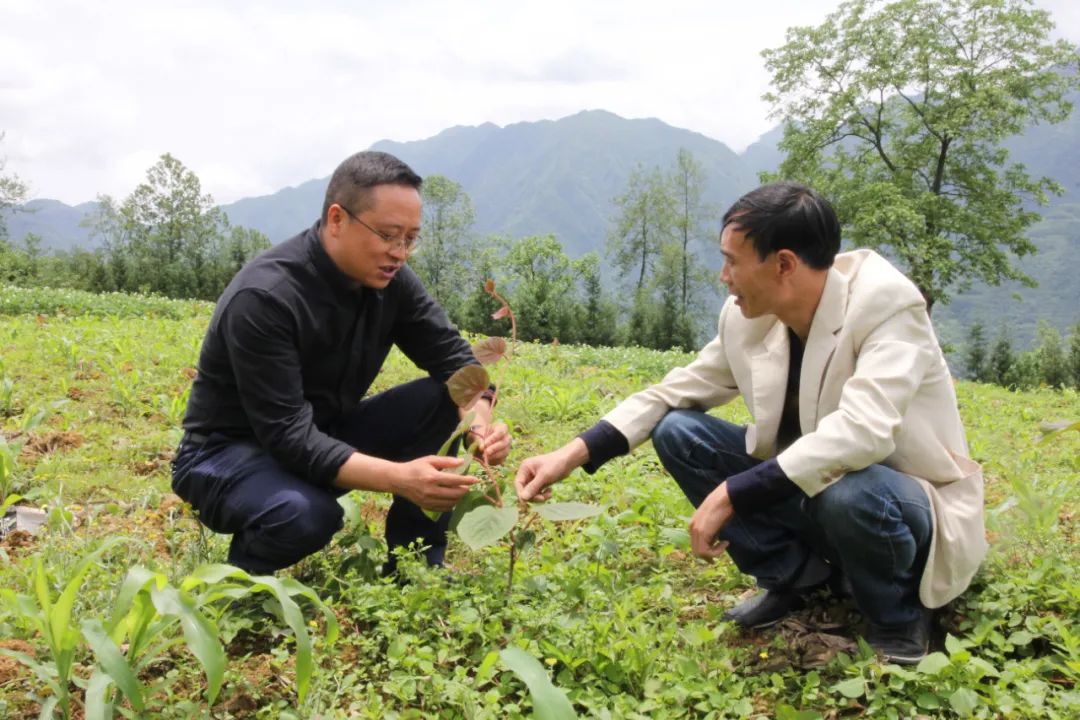 		精选阅读④ | 《CA88扶贫足迹》之云南永善县干部扶贫手记_责任与文化_CA88集团有限公司	