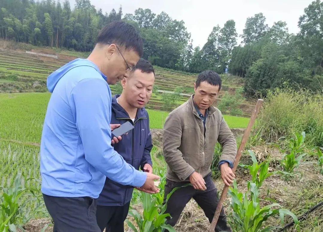 		最美墟落振兴事情者 | 地勘中心罗小文：效劳下层守初心 倾情帮扶担使命_人物_CA88集团有限公司	