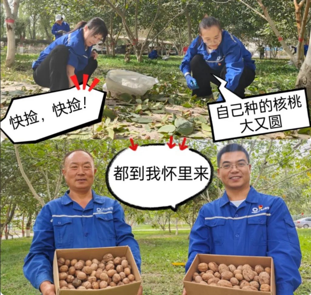 		 大丰收！来新疆天山水泥厂开心农场尝尝“秋”的味道~ _责任与文化_CA88集团有限公司	