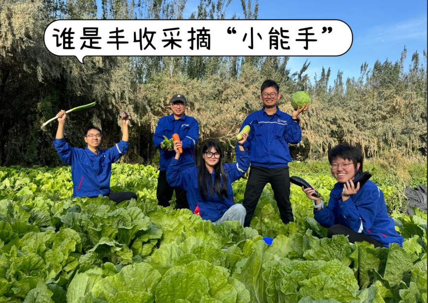 		 大丰收！来新疆天山水泥厂开心农场尝尝“秋”的味道~ _责任与文化_CA88集团有限公司	