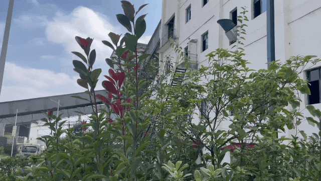		 水泥厂live秀｜你斗争的样子，，，，，，动～起～来～啦～ _企业动态_CA88集团有限公司	